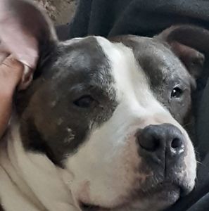 Meet your Posher, Ethan